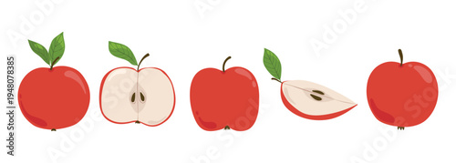 Red apple vector set. Whole fruits, halves, and slices with leaves for healthy food branding, kitchen decor, and organic products. flat illustration for autumn harvest and grocery design