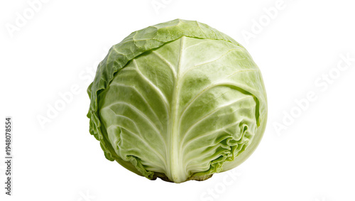 Isolated whole fresh vibrant green cabbage head, healthy natural leafy vegetable ingredient