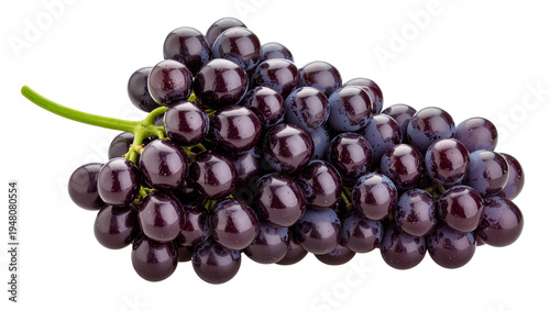 Canvas Print Isolated bunch of fresh ripe dark red grapes with a green stem, delicious health