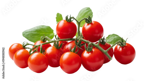 Photos Isolated fresh ripe red cherry tomatoes on a green vine, perfectly vibrant for healthy eating