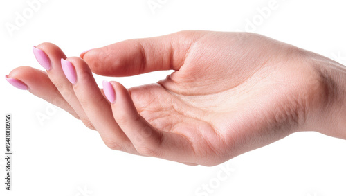 Photos Isolated woman's hand with gentle pink manicure offering or holding something de