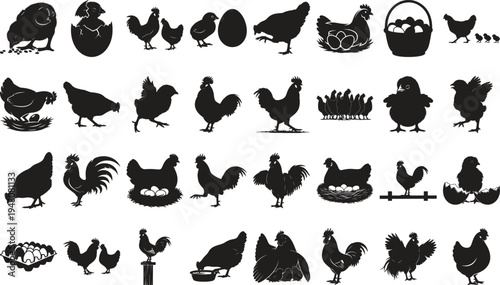 Chicken and Rooster Silhouette Icon Set – Hen Chick Egg and Poultry Farm Vector Collection