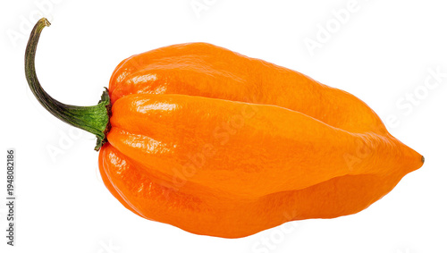 Fotografie Isolated ripe bright orange habanero chili pepper with green stem for hot sauce