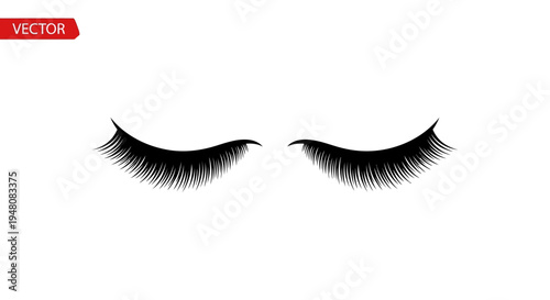 False Lash Eyelashes.