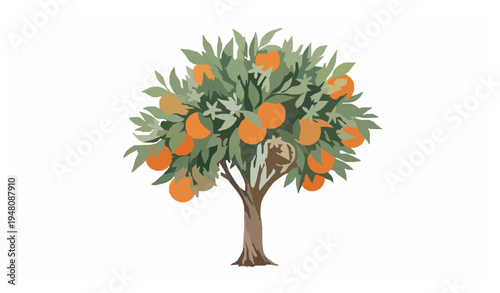 Citrus orange tree with fruit and white blossoms watercolor botanical vector