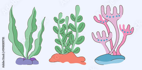 Colorful Seaweed and Coral Reef Ocean Plants