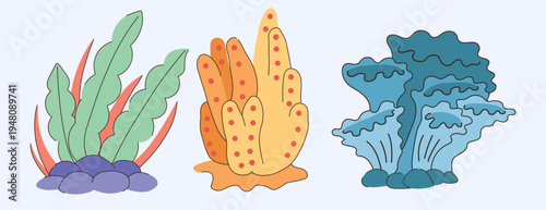 Colorful Seaweed and Coral Reef Flora Set