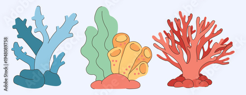 Colorful Sea Corals And Algae Collection