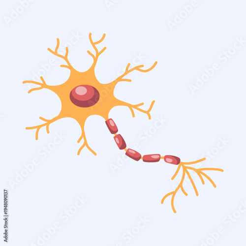 Neuron Cell Structure with Dendrites and Axon