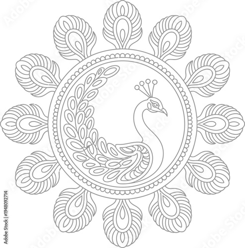 Vector peacock logo, peacock illustration, peacock icon