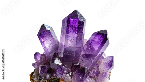 Obraz na plátně Isolated beautiful vibrant purple amethyst crystal cluster showcasing sparkling