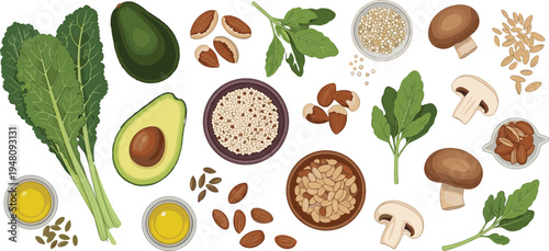 Healthy Ingredients Including Avocado, Kale, Mushrooms, Almonds, Quinoa, and Olive Oil for Plant-Based Diet and Nutrition Illustration