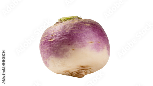 Foto Isolated fresh organic purple and white turnip, a healthy root vegetable, ready