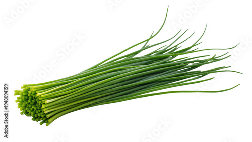 Quadro em tela Isolated fresh green chives bunch ready for culinary use, flavorful herbal ingre