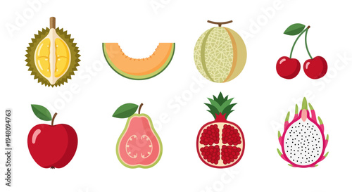 Variety of fresh colorful fruit illustrations