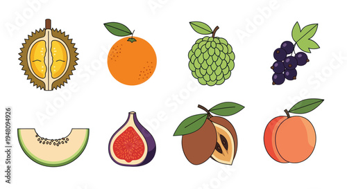 Variety of fresh fruits isolated on white