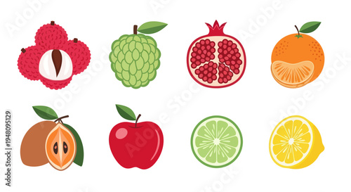 Various colorful fruits in vector illustration