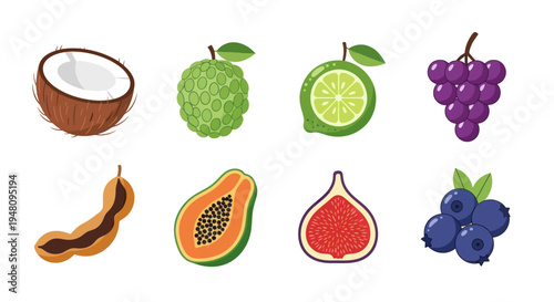 Various colorful tropical fruits illustration