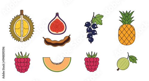 Various fruit collection illustration