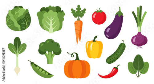 Vegetable assortment graphic illustration