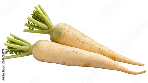 Картината върху платно Isolated fresh raw parsnips with vibrant green leaves, healthy organic root vege
