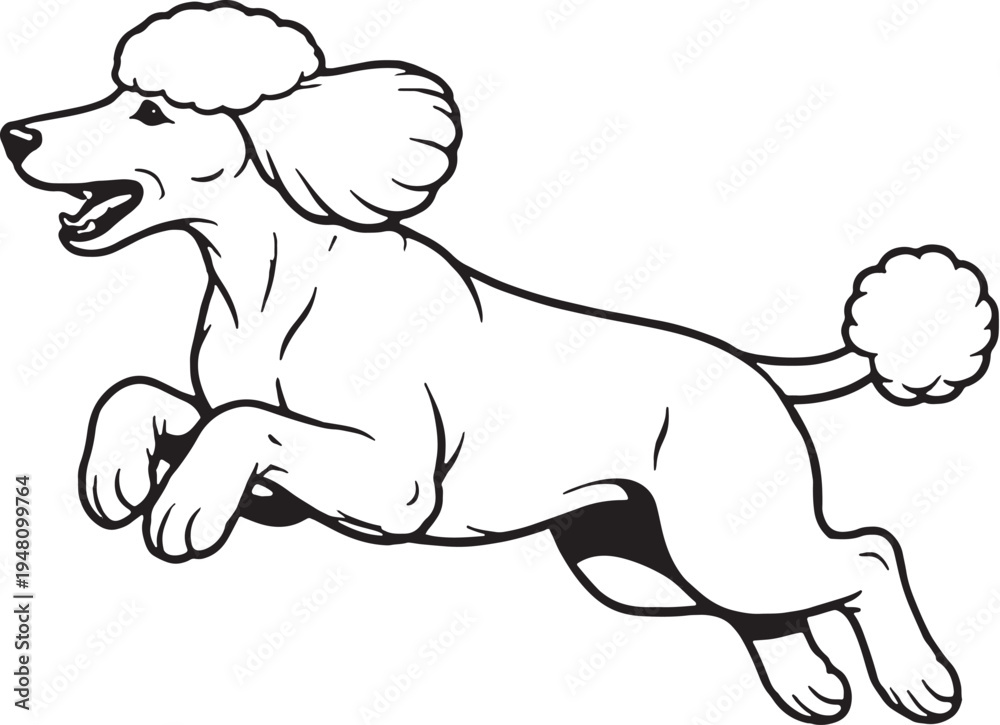 Fototapeta premium Standard Poodle Jumping Mid Air Side View Black and White Line Art Illustration