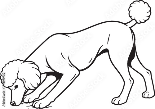 Standard Poodle Marking Territory Leg Lift Black and White Line Art Illustration