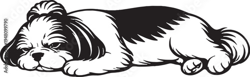 Shih Tzu Sleeping on Side Relaxed Black and White Line Art Vector Illustration