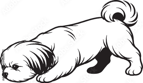 Shih Tzu Sniff Tracking Nose Down Black and White Line Art Illustration