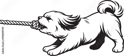 Shih Tzu Tugging Rope Pull Stance Black and White Line Art Illustration