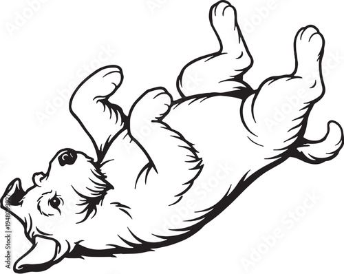 Miniature Schnauzer Rolling on Back Playful Pose Black and White Line Art Illustration