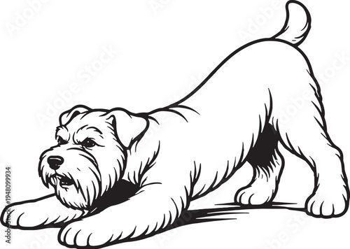 Miniature Schnauzer Play Bow Invitation Black and White Line Art Illustration