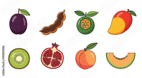 Assorted colorful fruits illustration