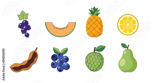 Assorted colorful fruit illustrations