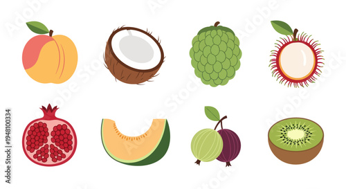 Assorted colorful tropical fruit illustrations