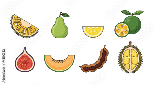 Assorted colorful tropical fruit slices isolated