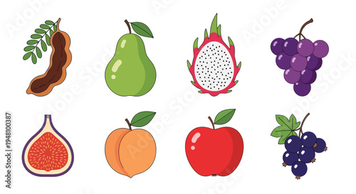 Assorted fruits isolated colorful illustrations