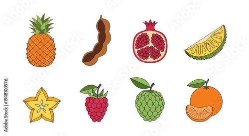 Assorted tropical fruit illustrations on white