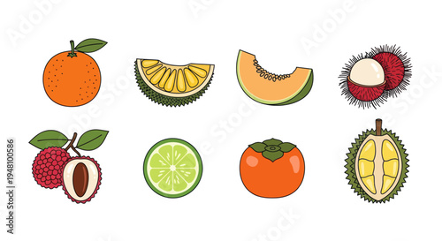 Assorted tropical fruit illustrations