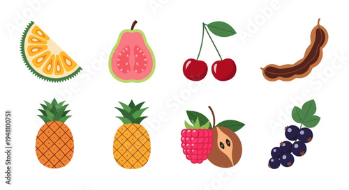 Assortment of colorful tropical fruit illustrations