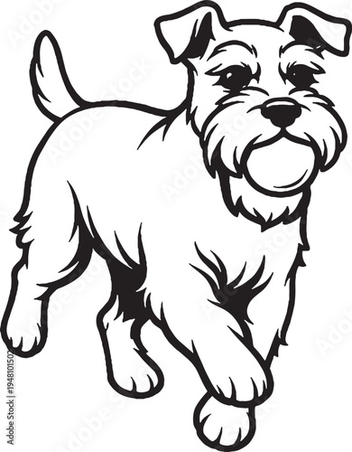 Miniature Schnauzer Fetch Return Carrying Ball Black and White Line Art