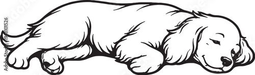 Cocker Spaniel Sleeping on Side Relaxed Pose Black and White Line Art