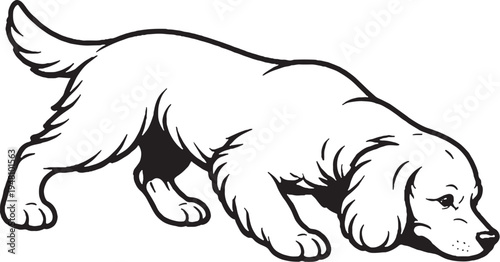 Cocker Spaniel Sniff Tracking Nose Down Black and White Line Art