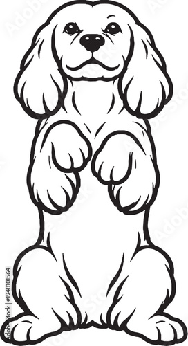 Cocker Spaniel Sitting Beg Pose Front View Black and White Line Art