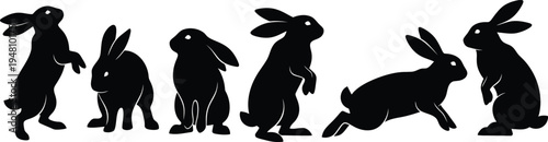 Ester vector illustration of rabbits in various poses