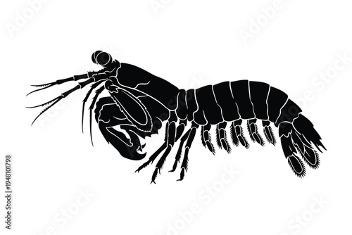 Intricate Mantis Shrimp Silhouette Design, Detailed Vector Outline.
