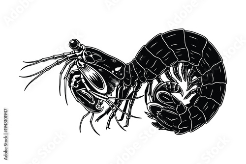 Intricate Mantis Shrimp Silhouette Design, Detailed Vector Outline.