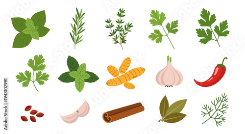 Fresh herbs and spices collection illustration