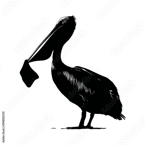 Silhouette of a pelican with a fish in its beak, isolated on a white background.