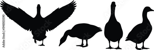 Goose silhouette vector set isolated on light background, flying and standing waterfowl collection, bird illustration bundle for wildlife design